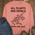 Edible Once Sweatshirt - Terracotta