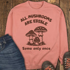 One Bite Sweatshirt - Terracotta